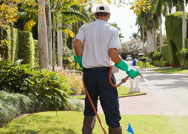 About Van Lear KY Pest Control
